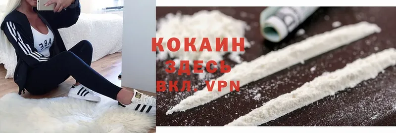 где продают   Георгиевск  COCAIN Fish Scale 